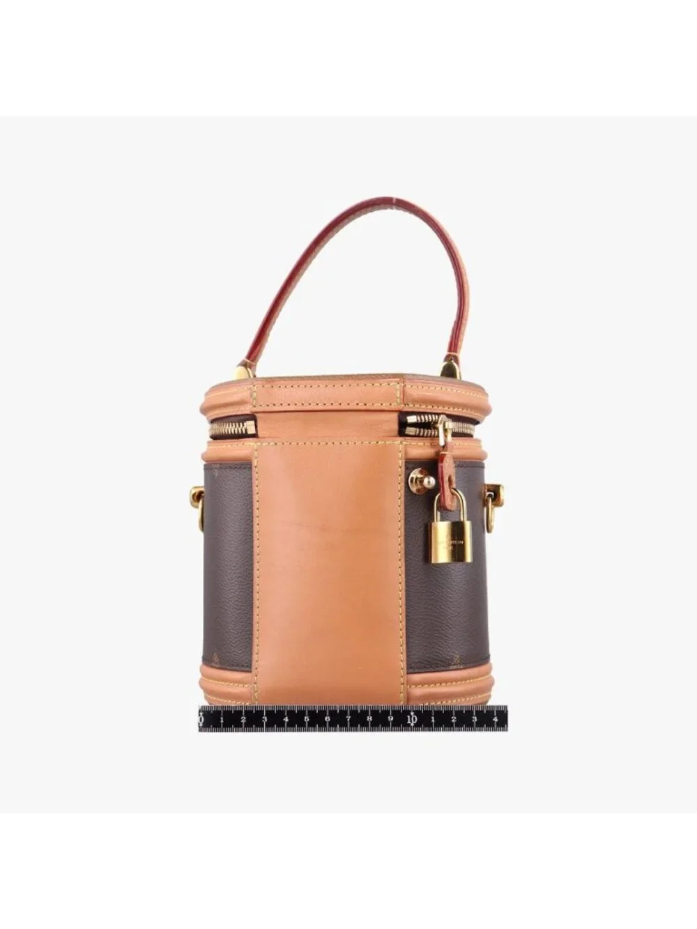 Louis Vuitton Cannes Monogram Brown Giant Reverse Vanity Bag